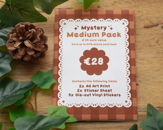 Medium Mystery Bag ✨