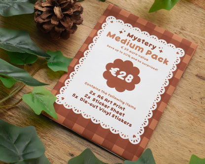 Medium Mystery Bag ✨